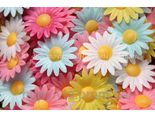 ����� �����������, ��������� ����� ,���� �� 1 ��.-6 ���.+���.%