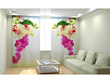 ������� �������.jpg