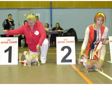 ���� ��������