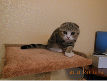 DSCN1994.JPG