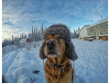 �� �� �����