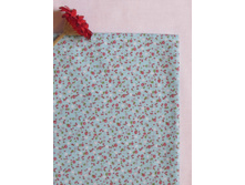 ������ �����