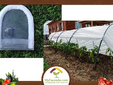 ������  3 �  565�