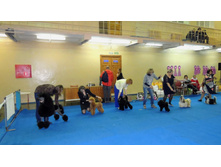 DSCN6093.JPG