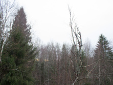 ������ ������� 2015-205.jpg