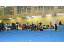 DSCN6194.JPG