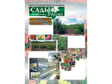 �@�� ������