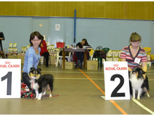 ���� �����