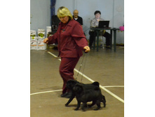 ������� ���