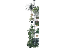 ������ ������ �������