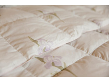 ������ ����������� ���� ���� ������.jpg