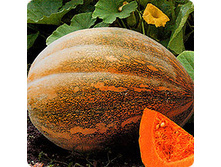 ����� ����-��� ��� ��� 9,30 ���..[���.��000000761]