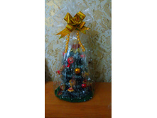 IMG 20151210 074012.jpg