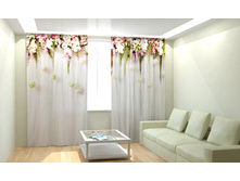 ��������� ���� 2.jpg