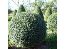 �������� ������������1.jpg