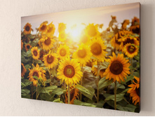 ��������� ����������.jpg