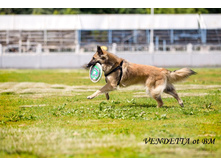 ���������� �� ����� ������ �� ������