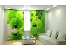 ������� �������.jpg