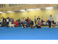 DSCN6204.JPG