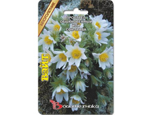 �������� ��� ���-����� ������������ ����. 10 ��. 20 ���.jpg