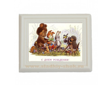 ���������� �������� "��-�������� "� ���� ��������" 80�� � 100��, ���. ���-003�