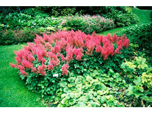 �������� ������������ ��� ����2.jpg