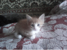 IMG 20160116 104839.jpg