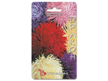 ���������� ����� ������. 100 ��. 16 ���.jpg