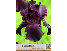 ���� ��������� Superstition ���� 1 �� 121�