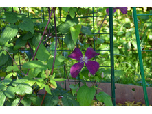 ���������� (5).JPG