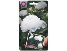 ����� ��������� ����� ������� �����. 40 ��. 18 ���.jpg