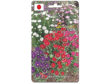 ����� ��������� ����� �������� ����� ���������. 50 ��. 18 ���.jpg