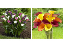 ����� � ����.jpg