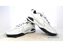 Phoca thumb l 1511 57.jpg