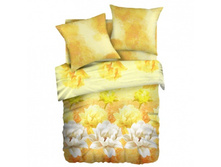 ��������� ����������.jpeg