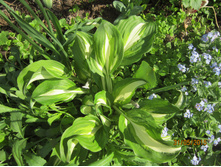 ���������  ����� �������������� 100 ���