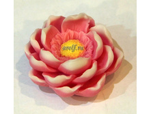 �������� - 200 ���.