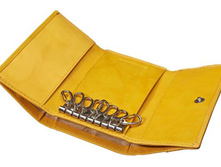 ������ ��� ������ 5538 yellow - ���.JPG