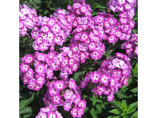 ����� ����� ���. ����.jpg