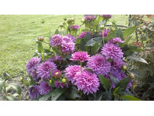 �������� � ����8.jpg