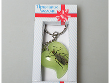 ������ ����� 430061 ��� 15�.jpg