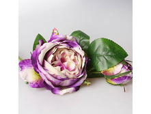 ���� ����������� ����-����������, 3-571 190�.jpg