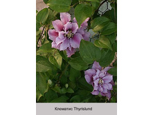 �������� Thyrislund ���� 1 �� 174�