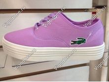 15066 ���� �� ��������� � ����� Lacoste ��������� -488 ���.jpg