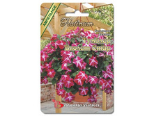 ��������� ������� ������� ������ ����. 8 ��. 50 ���.jpg