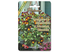 ����� ��������� ������� F1 ������� � ������ ������. 8 ��. 50 ���.jpg