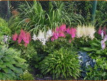 �������� � ����6.jpg