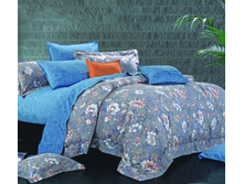 ��� ����� G14-829.jpg