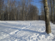 IMG 4502.JPG