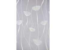 ������� ����.jpeg